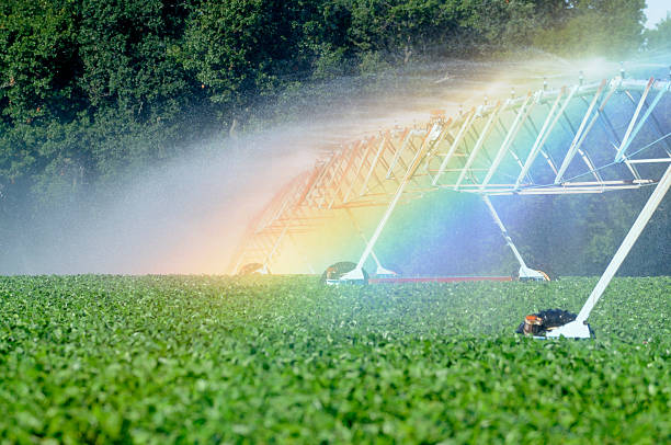 Handle your harvest!